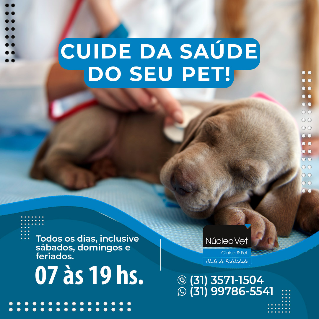 Cuide da saúde do seu Pet