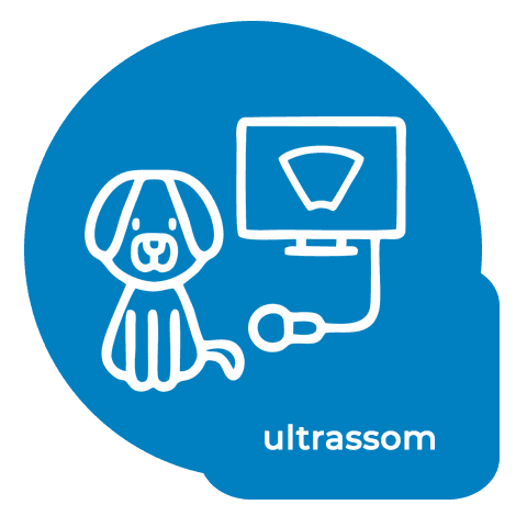icon ultrassom