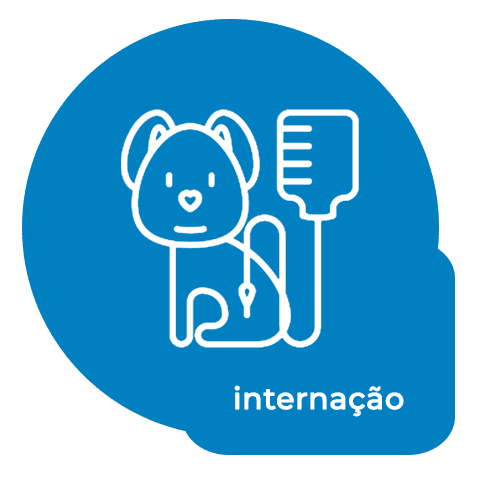 icon Internação