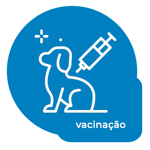 icon Vacinação