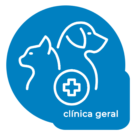 icon Clínica Geral
