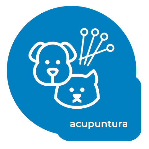 icon Acupuntura
