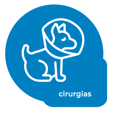 icon Cirurgias