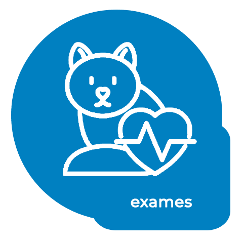 icon Exames