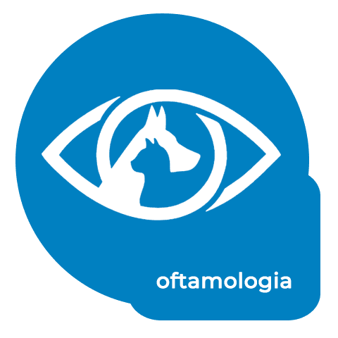 icon OFTAMOLOGIA