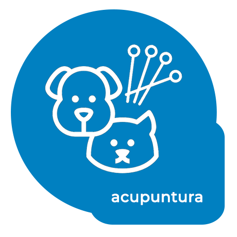 acupuntura pet