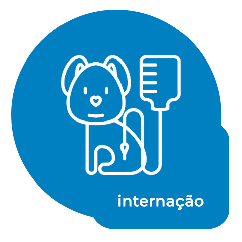 internação